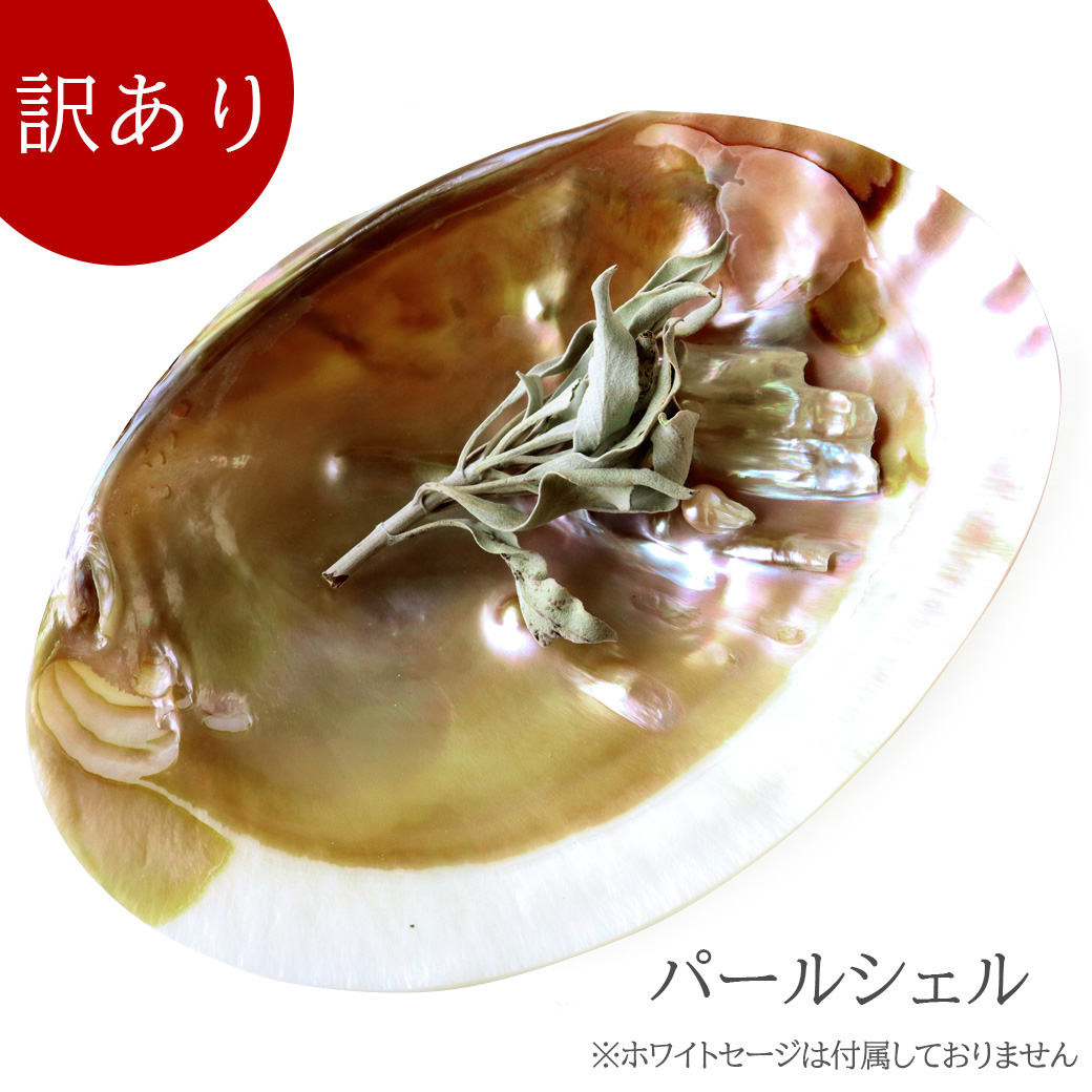 訳あり パールシェル ホワイトセージの浄化皿 貝殻 小物入れ オーストラリア産 イケチョウ貝 アウトレット品