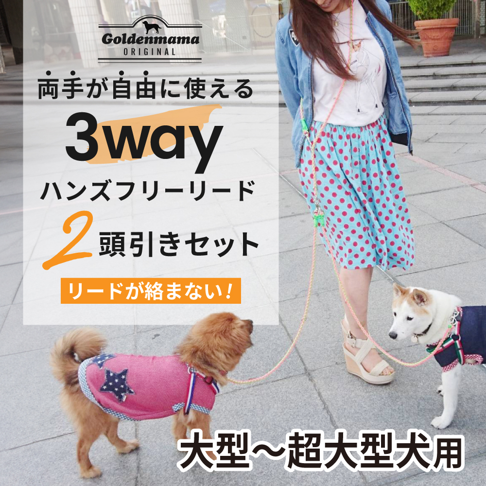 リシニュー　ハンズフリーリード　3m 新品 リシニュー ハンズフリーリード 3m 希少新品
