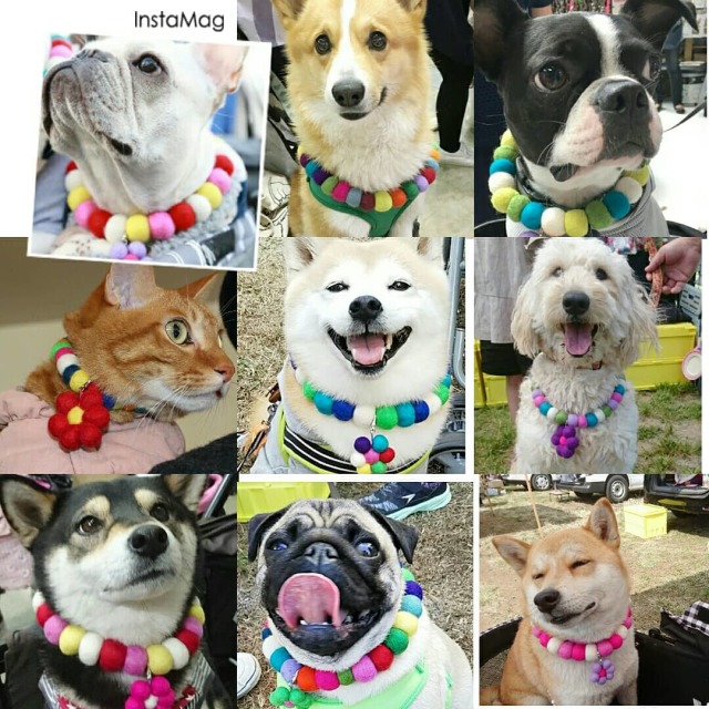 フエルトボールネックレス中型犬用