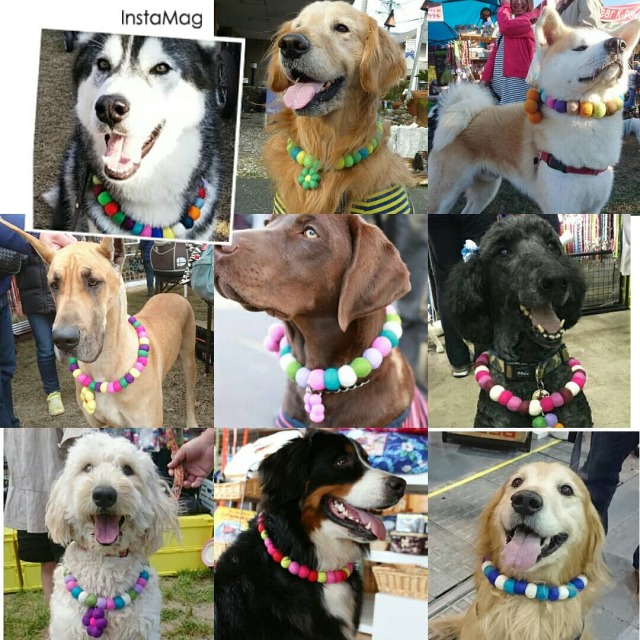 フエルトボールネックレス大型犬用