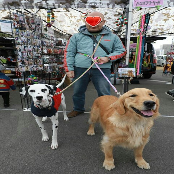 ハンズフリー二頭引き用追加リードLL（Type5対応）大型～超大型犬用 全