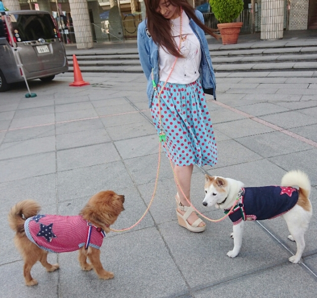 ハンズフリー二頭引き用追加リードM（Type2,3対応）小型～中型犬用 全