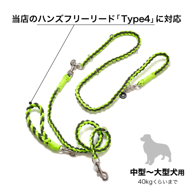 ハンドルリード