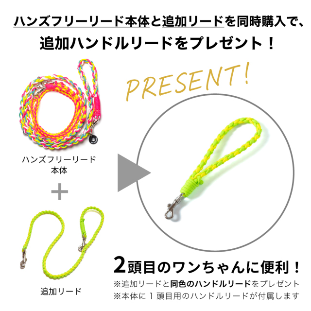 ハンズフリー二頭引き用追加リードM（Type2,3対応）小型～中型犬用 全