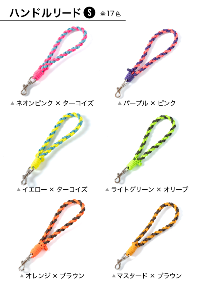 ハンドルリードSサイズカラーバリエーション