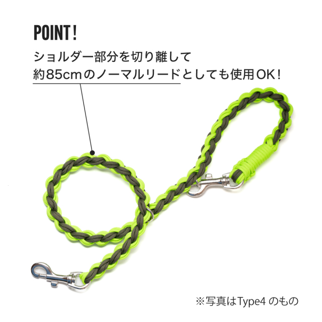 Type5ノーマルリード