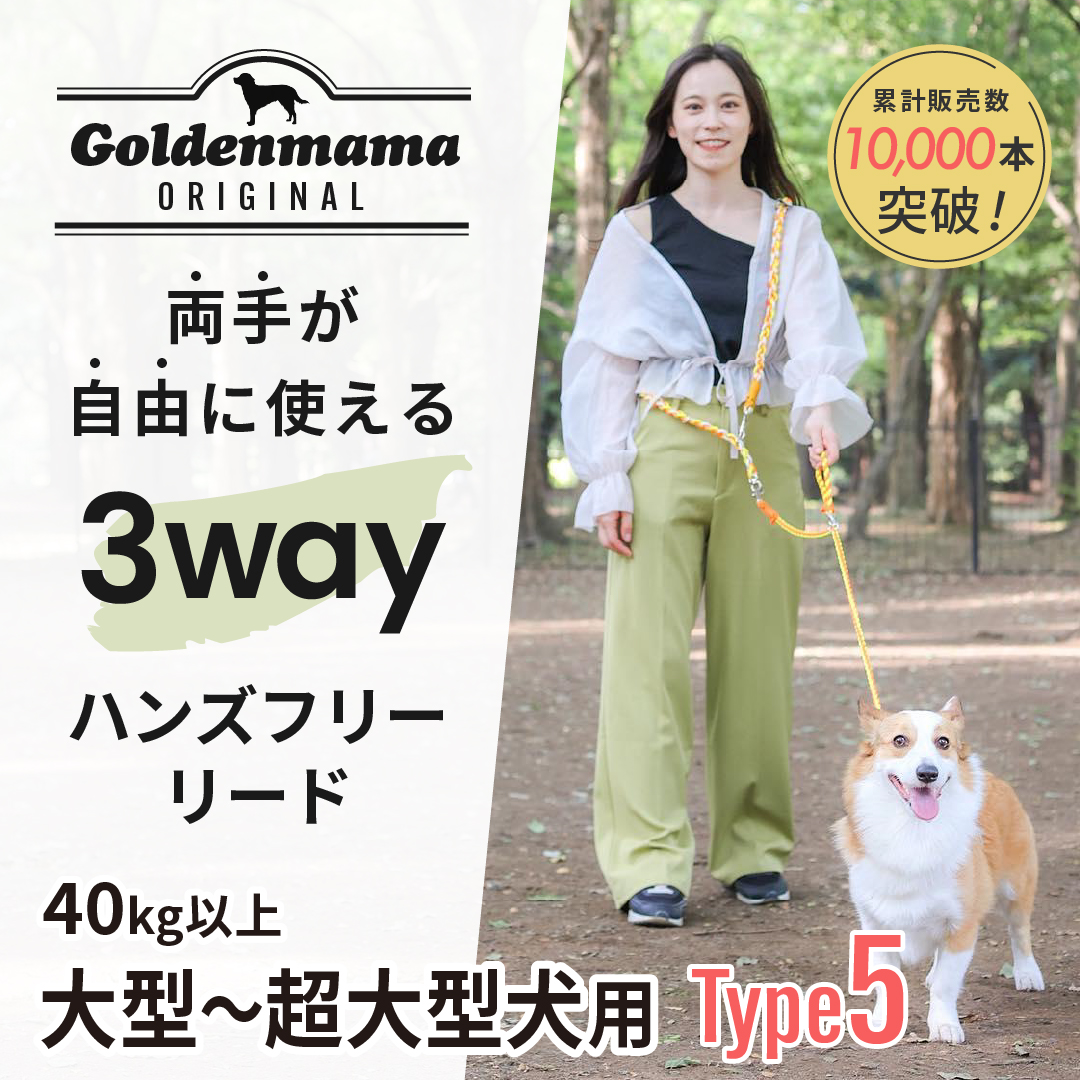 ☆当店人気ナンバーワン！両手が使える3Wayハンズフリーリード