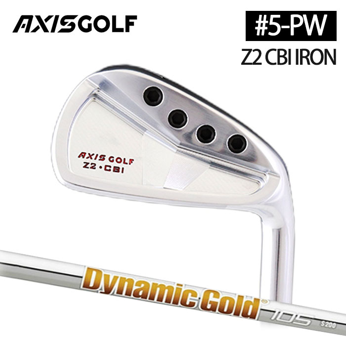 (カスタムクラブ)AXISGOLF Z2 CBI IRON アイアン  6本セット(#5-Pw) Dynamic Gold (105/120)【グリップ・シャフト・組立料込】