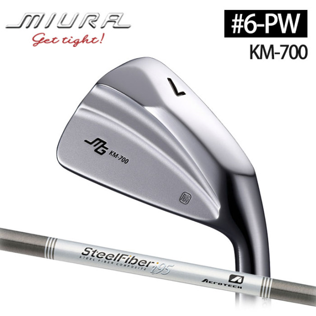 プロギア00アイアン 三浦技研 特注アイアン カスタム 4〜PW 7本セット 若い