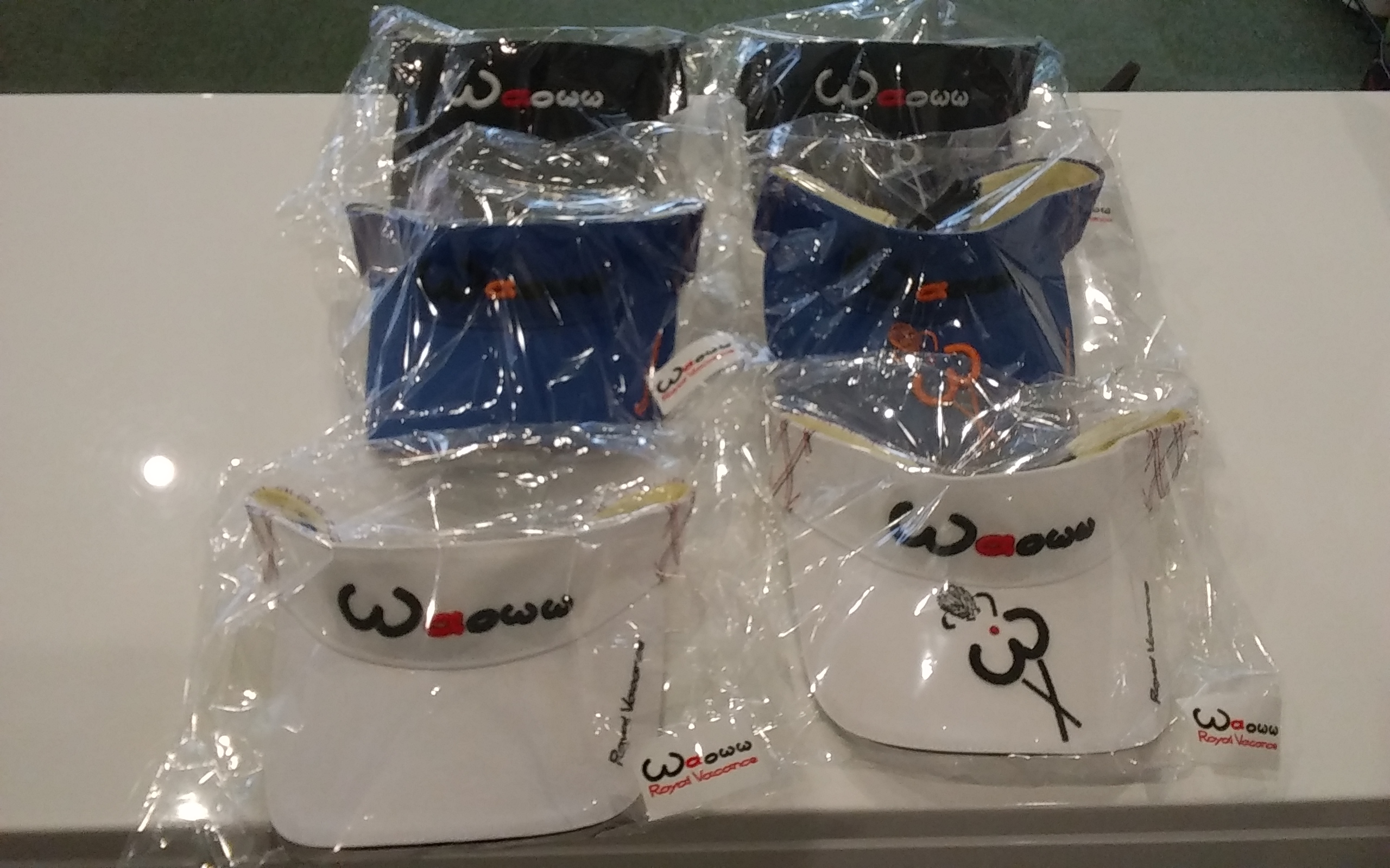 WAOWW　サンバイザー【WAOWW　VISOR 】