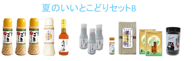 夏のいいとこどりセットB
