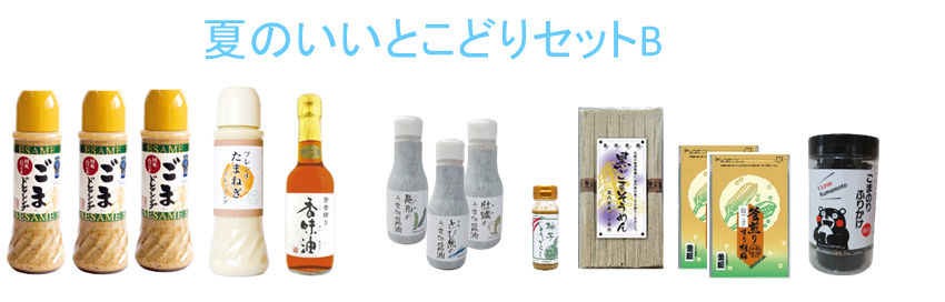 夏のいいとこどりセットB