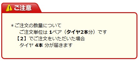 タイヤチェーン 90100 スプリング式バンド R-16 セット シングル ペア