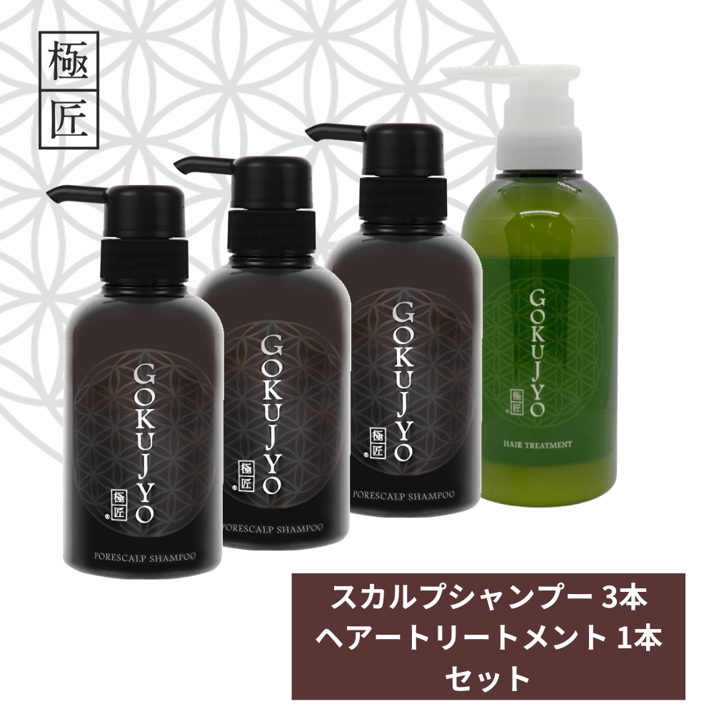 極匠ヘアケアセット シャンプー＆トリートメント