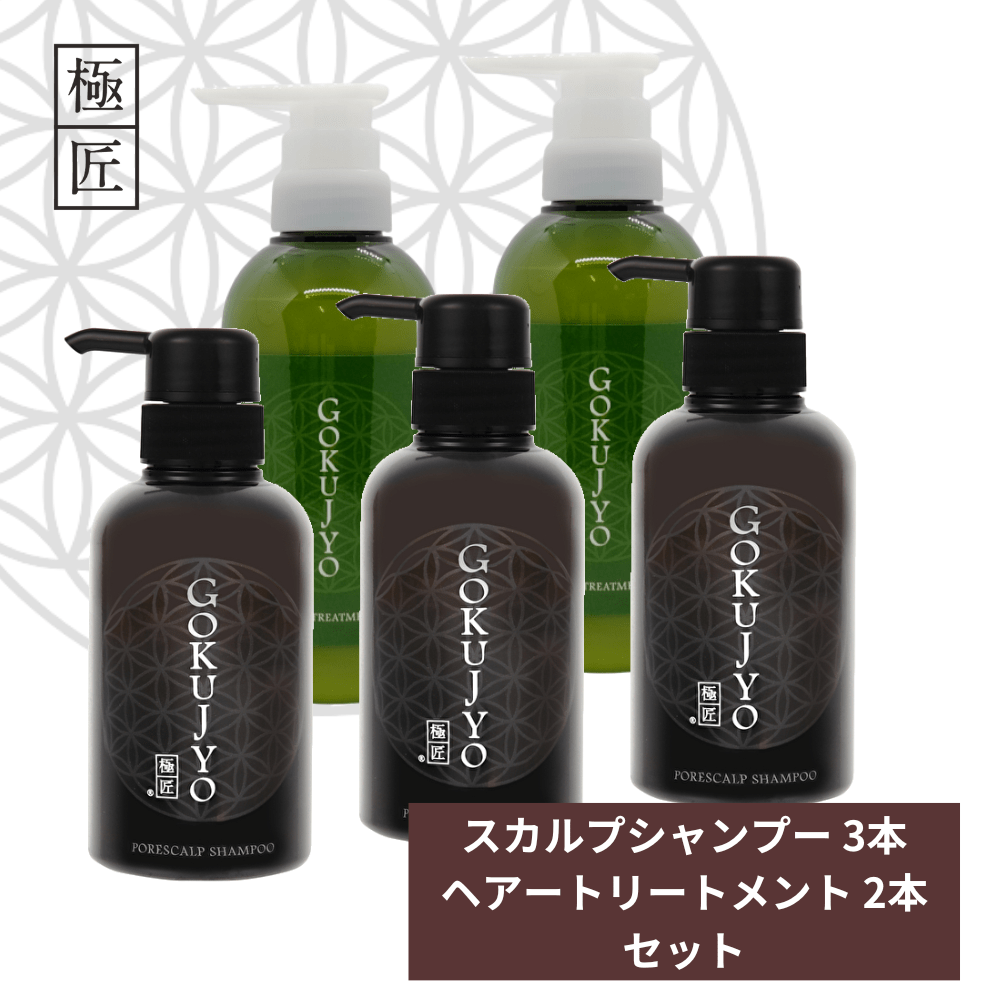 極匠ヘアケアセット シャンプー＆トリートメント