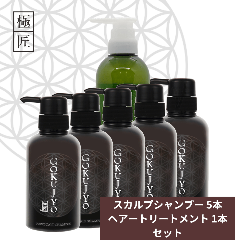 極匠ヘアケアセット シャンプー5本＆トリートメント1本