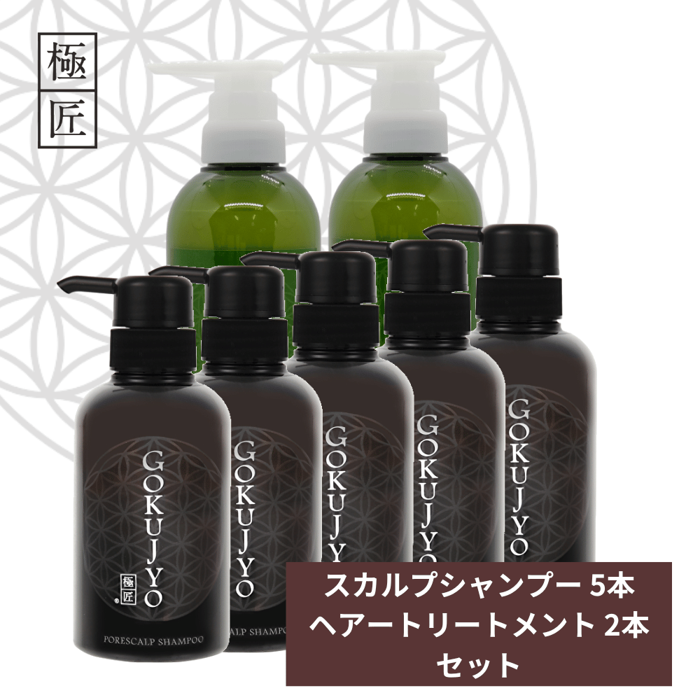 極匠ヘアケアセット シャンプー5本＆トリートメント2本