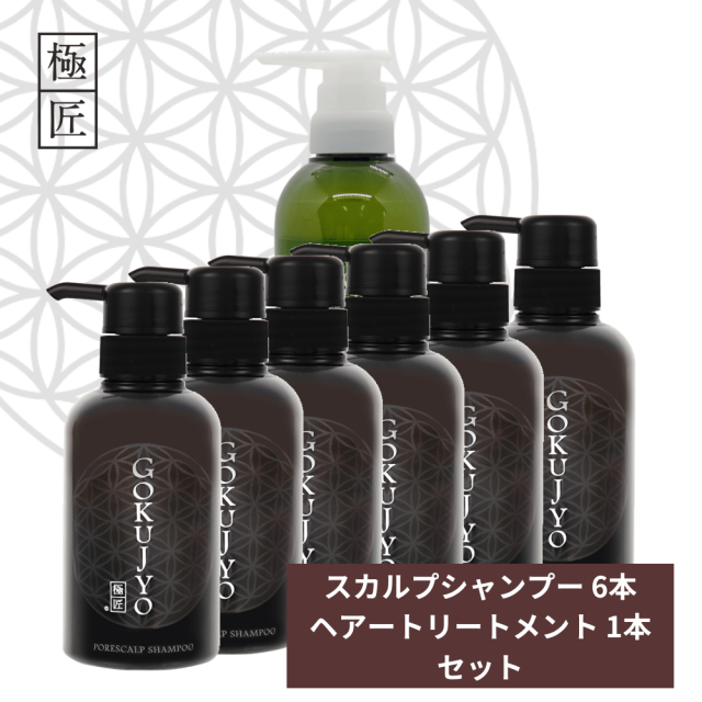 極匠ヘアケアセット シャンプー6本＆トリートメント1本