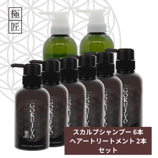 極匠ヘアケアセット シャンプー6本＆トリートメント2本