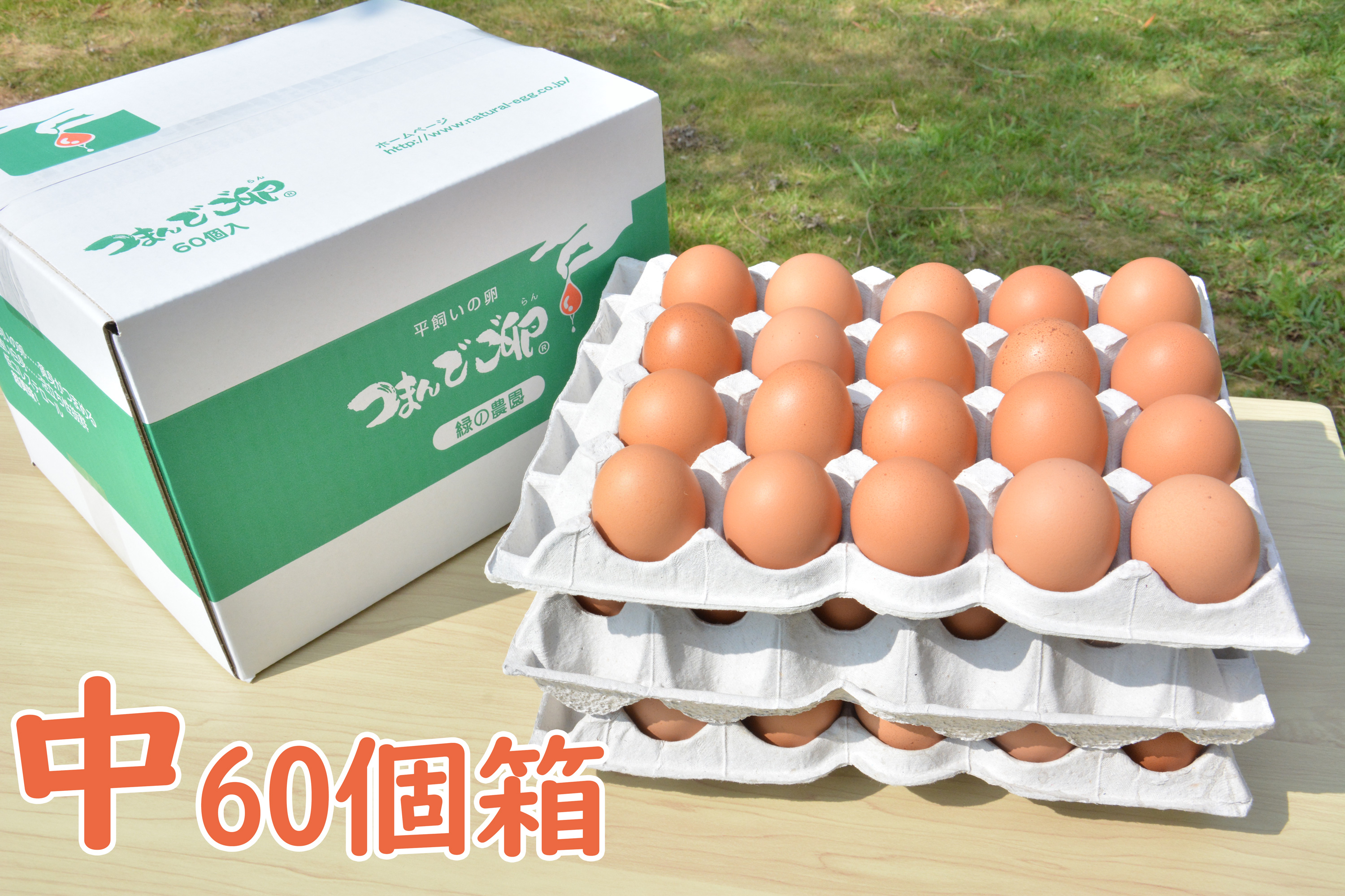 つまんでご卵 中サイズ（60個箱）