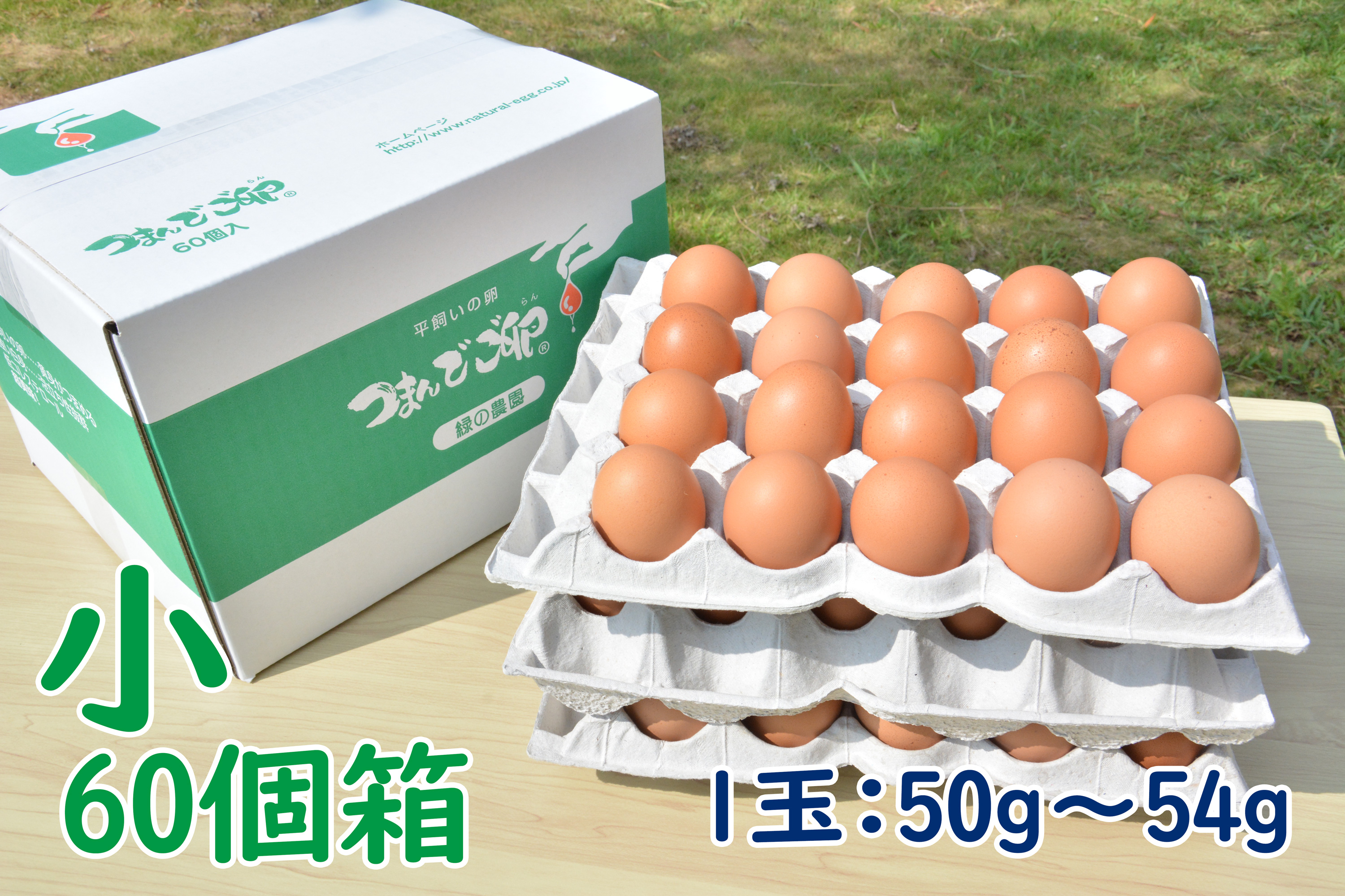 つまんでご卵 小サイズ（60個箱）