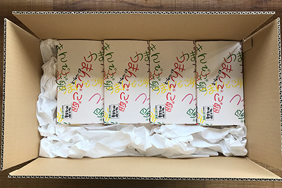 つまんでご卵糸島ロール12本