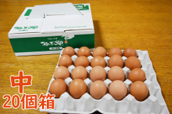 つまんでご卵　中サイズ（20個箱）