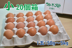つまんでご卵　小サイズ（20個箱）