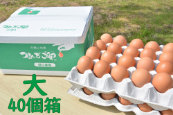 つまんでご卵大サイズ（40個箱）