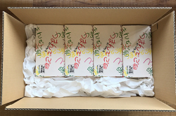 つまんでご卵糸島ロール12本