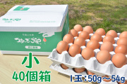 つまんでご卵 小サイズ（40個箱）