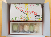 つまんでご卵糸島ロールとマカロンのセット