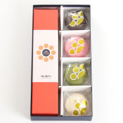 リトルセット 《店頭引き取り専用商品》