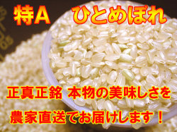 【特Ａ・一等米】 R6年産 宮城登米産ひとめぼれ 玄米 ３０ｋｇ