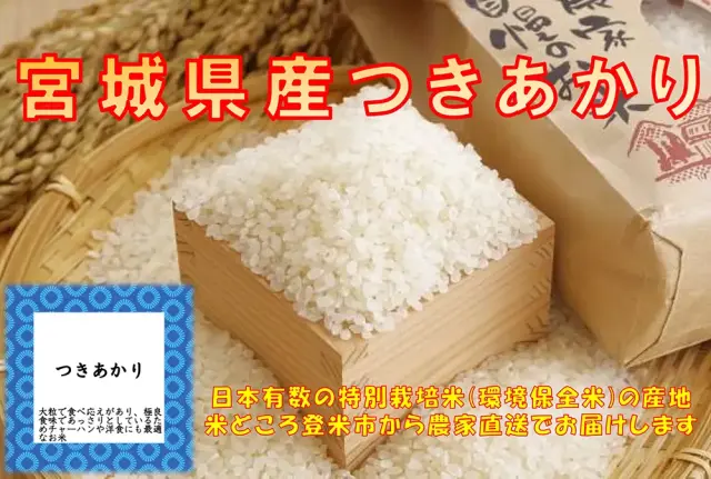 R7年産 宮城登米産つきあかり　白米2ｋｇ　(簡易包装)