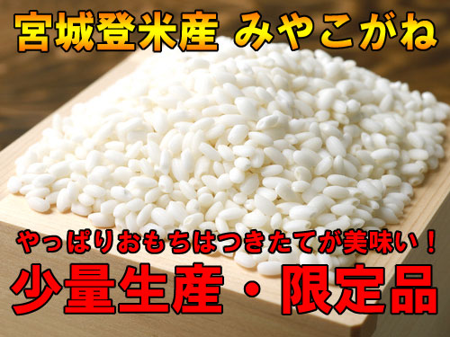 R7年産 宮城登米産 みやこがね もち米 2ｋｇ