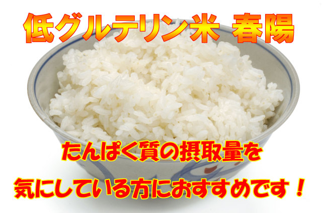R7年産 宮城登米産 低グルテリン米「春陽」 白米 １０ｋｇ