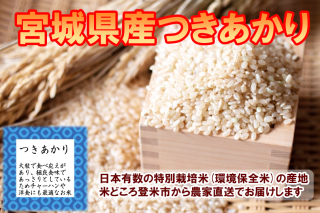 宮城登米産つきあかり  玄米