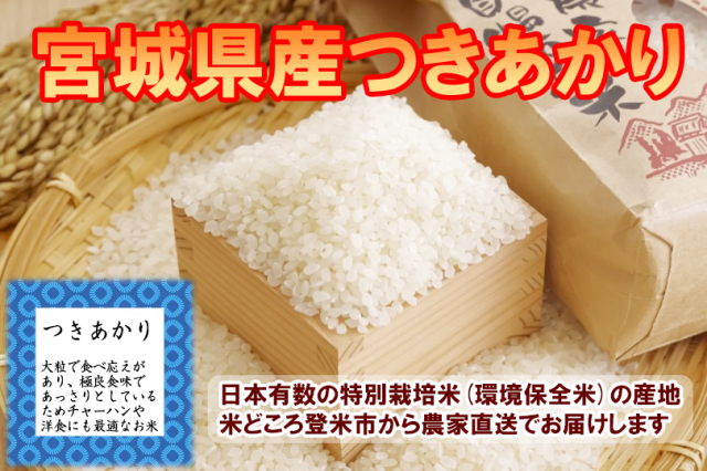 宮城登米産つきあかり　白米