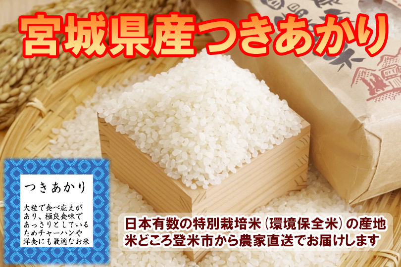 宮城登米産つきあかり　白米