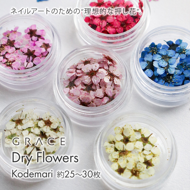 唯一無二の染色技術 押し花ネイル 押し花ネイルアート ドライフラワーネイル GRACE Dry Flowers コデマリ
