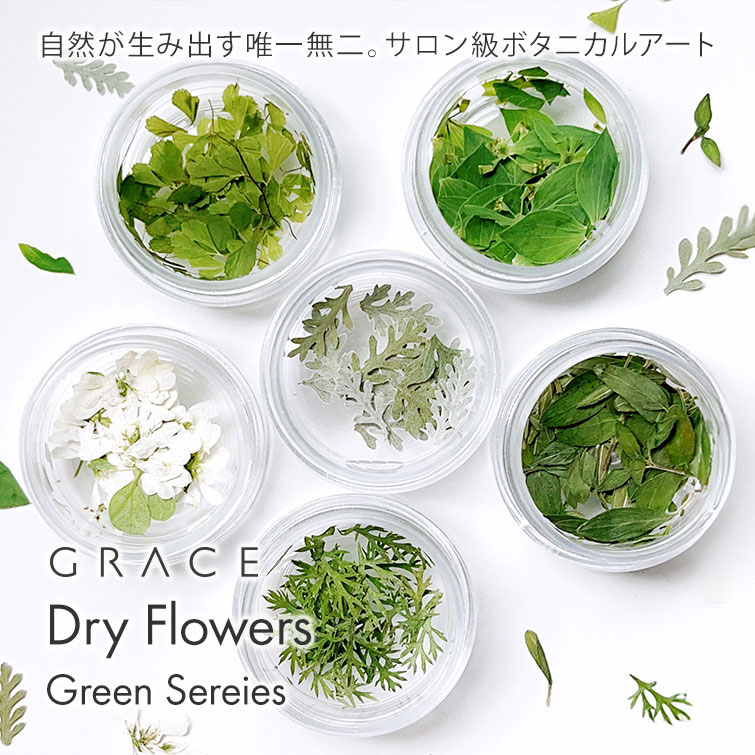 ネイルパーツ 天然素材 ボタニカルネイル　ドライフラワーネイル GRACE Dry Flowers Green Sereies