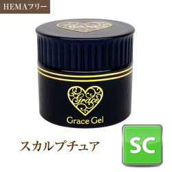 HEMAフリー TPOフリー 長さだしやフォルム作成 ふき取るとピカピカに グレーススカルプチュア15ml[会員割引対象]