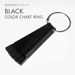 【ゆうパケット対象商品】 色付きのカラーチャート カラーチャート カラー見本 ブラックカラーチャートリング スクエア（50本）