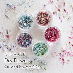 【セットで10％OFF】唯一無二の染色技術 押し花ネイル 押し花ネイルアート ドライフラワーネイル GRACE Dry Flowers クラッシュフラワー 全色セット