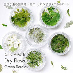 ネイルパーツ 天然素材 ボタニカルネイル　ドライフラワーネイル GRACE Dry Flowers Green Sereies