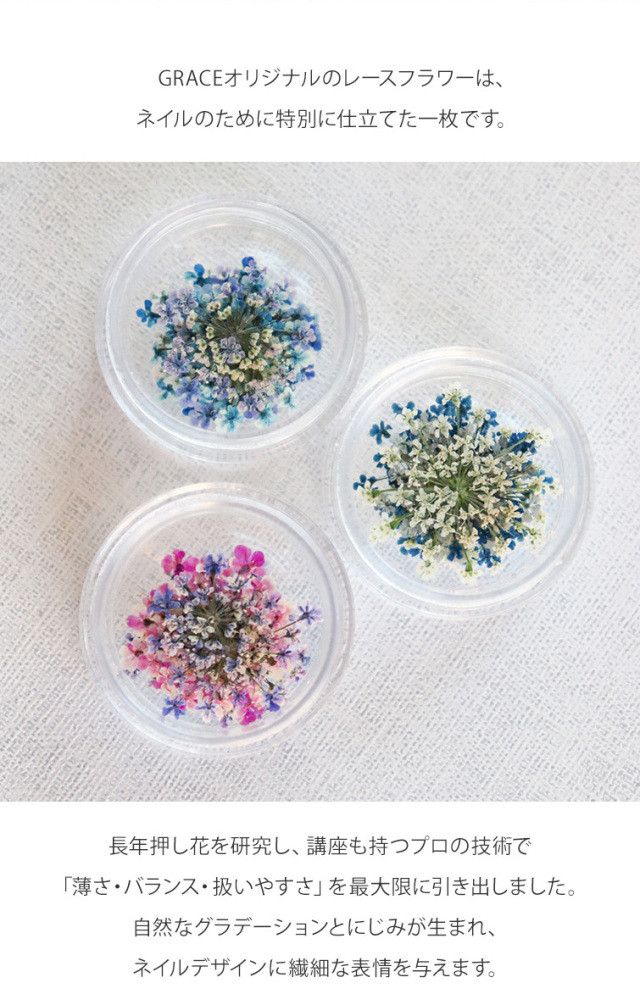 GRACE Dry Flowers レースフラワー
