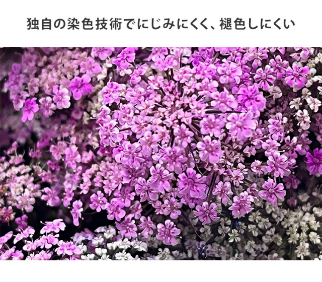 GRACE Dry Flowers レースフラワー