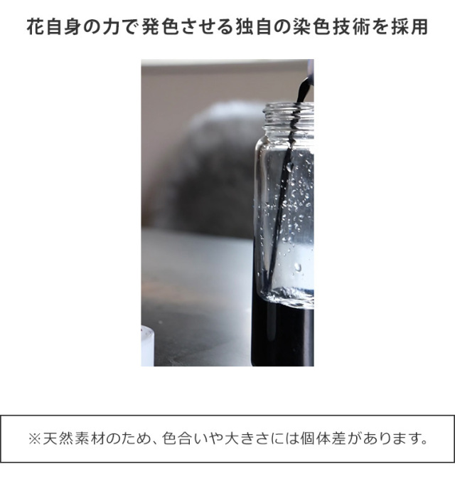 GRACE Dry Flowers レースフラワー