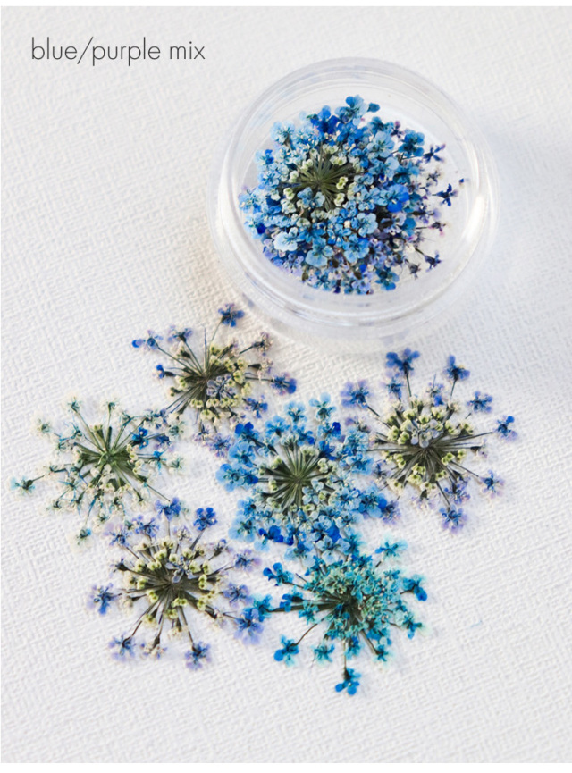 GRACE Dry Flowers レースフラワー